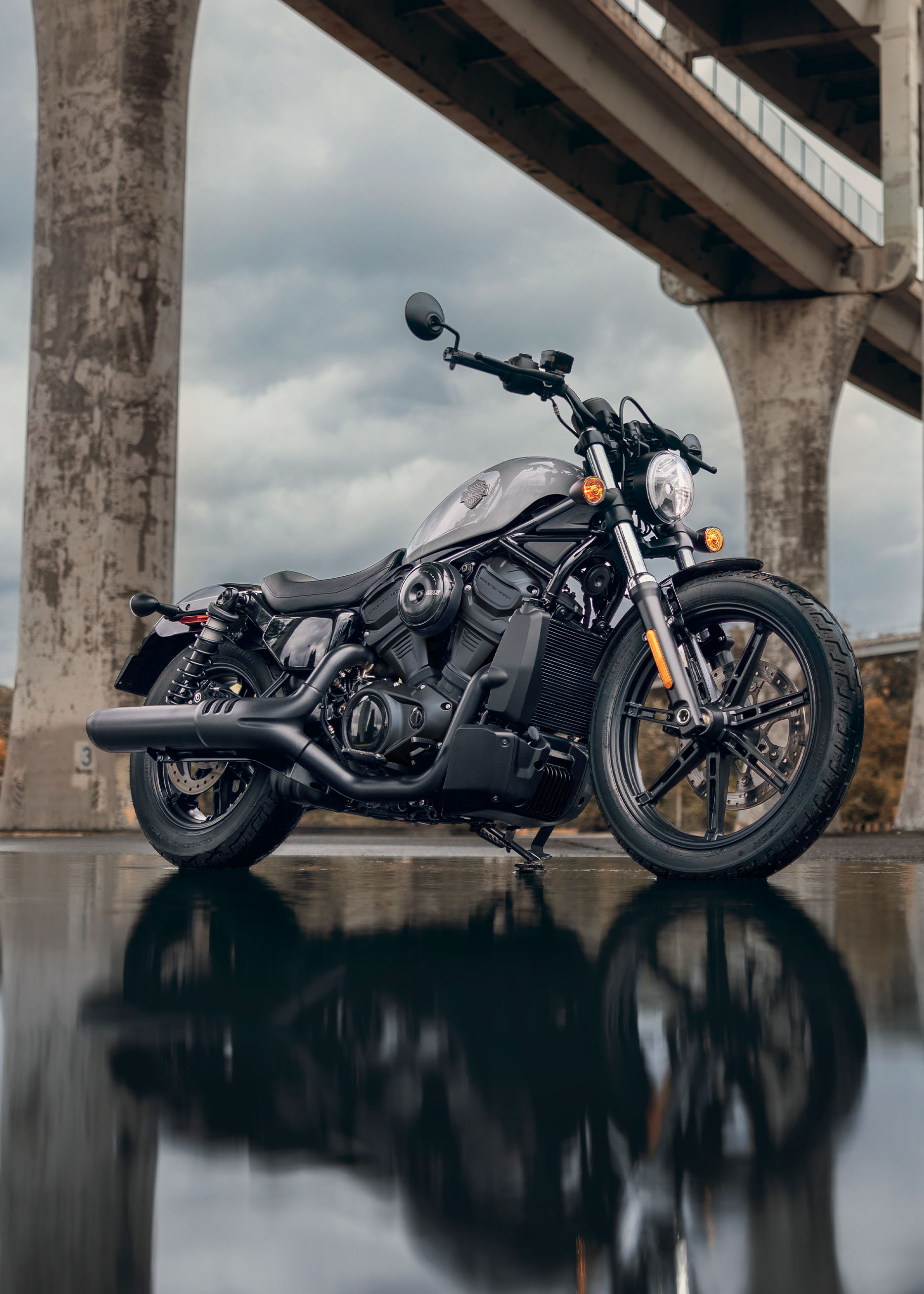 2025 Nightster motorcycle beauty shot