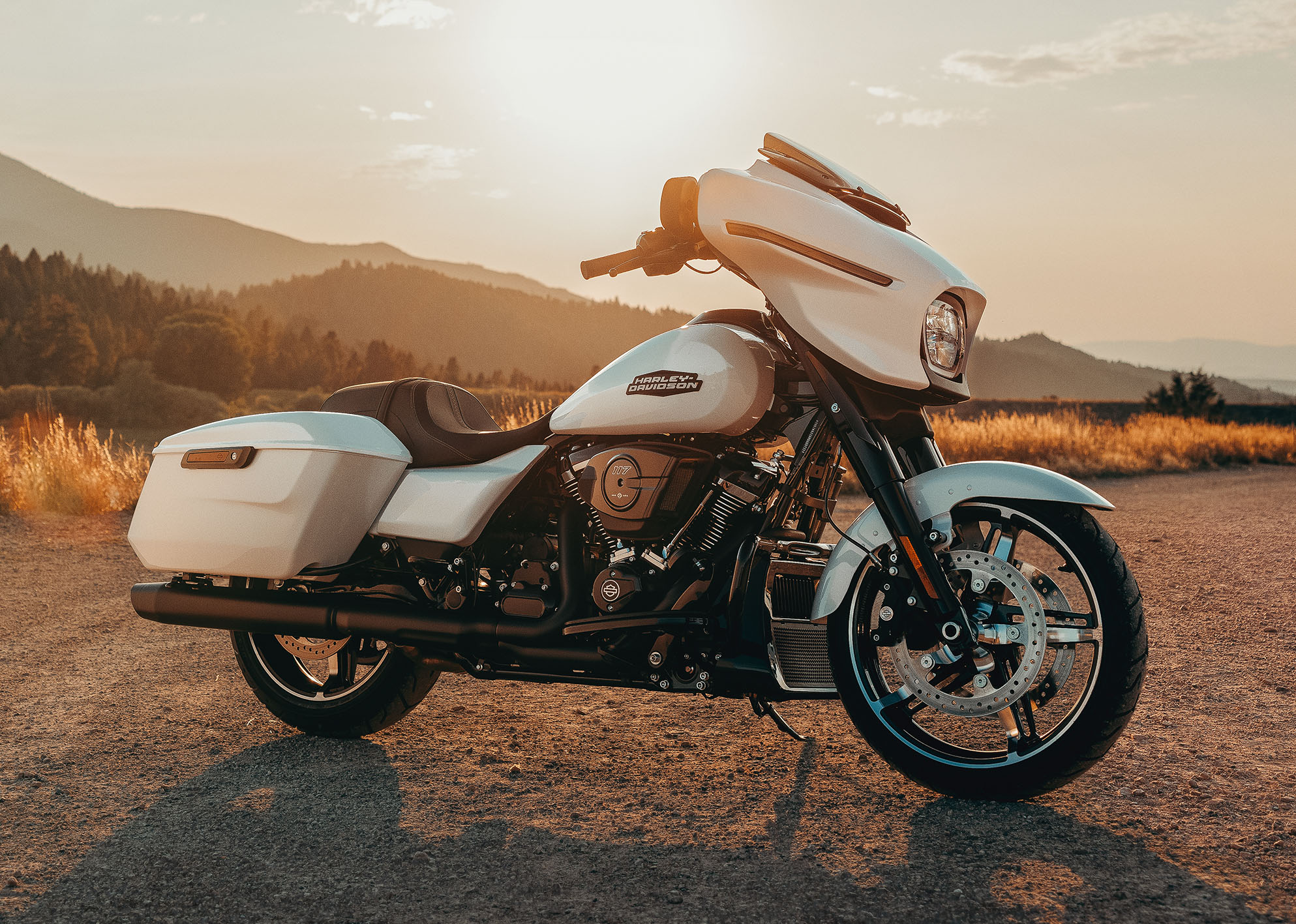 2025 Street Glide Motorcycle beauty